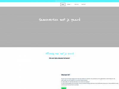 blesenbloesem.nl snapshot