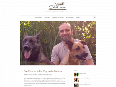 soulcanine.de snapshot