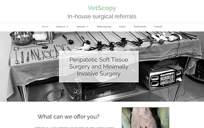 vetscopy.com snapshot