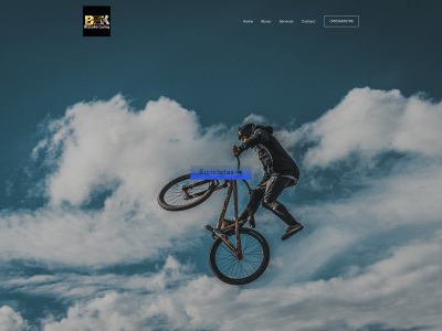 bizzukacycling.com snapshot