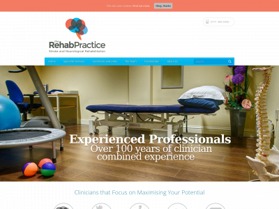 strokeandphysiotherapy.co.uk snapshot