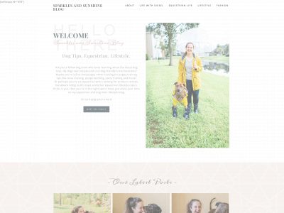 sparklesandsunshineblog.com snapshot