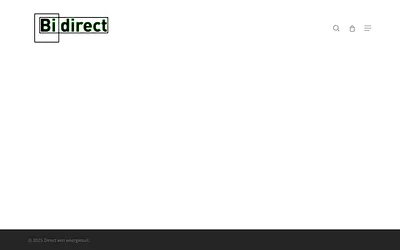 bidirect.nl snapshot