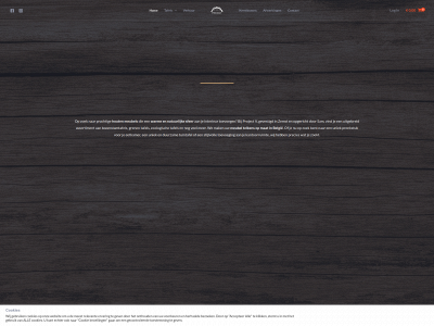 projectv.be snapshot