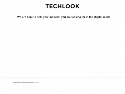 techlook.net snapshot