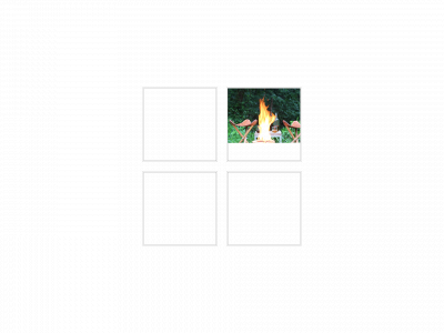 stsfire.com snapshot