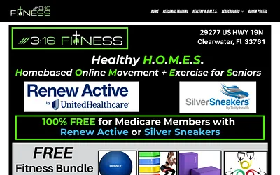 www.316fitness.org snapshot