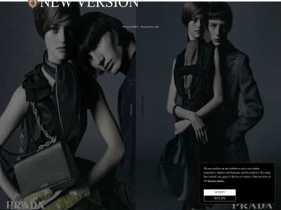 newversionmodels.com snapshot