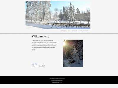 kronstrand.biz snapshot