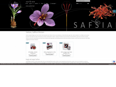 safsian.com snapshot