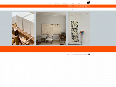 toucan-asc.de snapshot