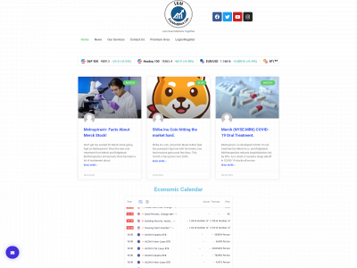 stockandmore.com snapshot