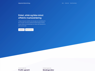 adjustedadvertising.com snapshot