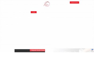 ragingbullservices.com snapshot