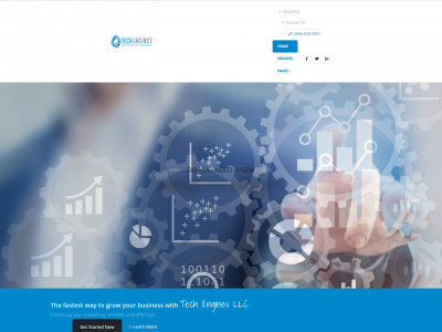 techengines.net snapshot