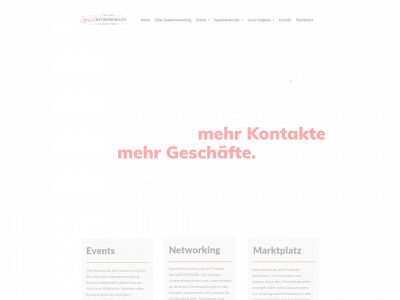 speednetworking.ch snapshot