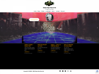 bassaperecords.com snapshot