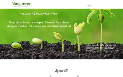baangunroed.no snapshot