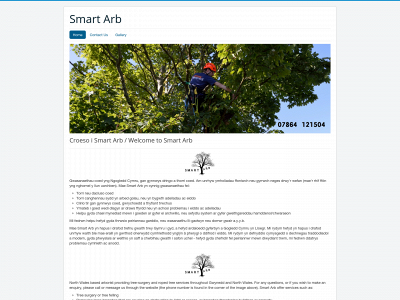 smart-arb.co.uk snapshot