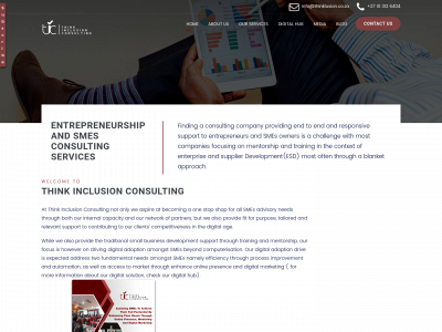 thinklusion.co.za snapshot