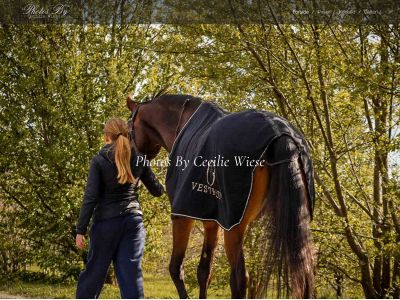 photosbyceciliewiese.dk snapshot