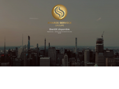 amrismarket.com snapshot