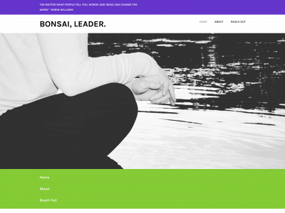 bonsaileader.com snapshot