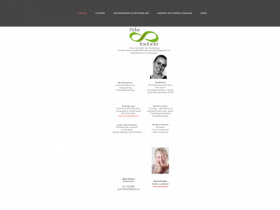 helseinstituttet.dk snapshot