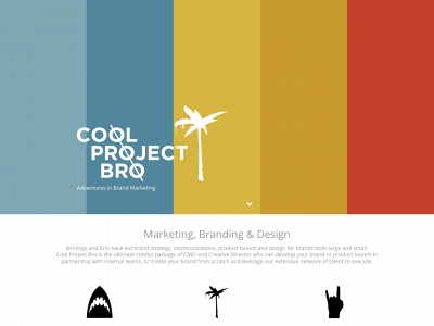 coolprojectbro.com snapshot