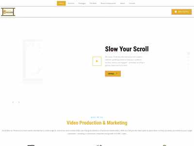 bmaxinc.com snapshot