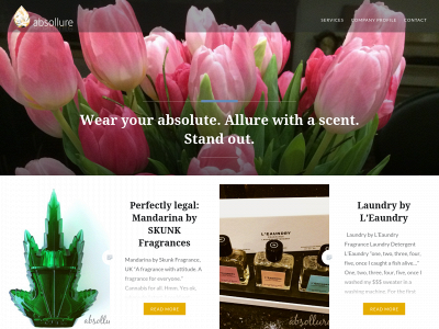 absollure.com snapshot