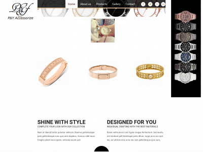 pyaccessorize.com snapshot