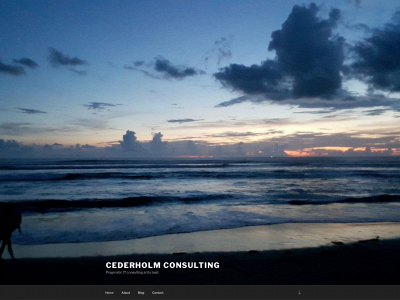 cederholm.consulting snapshot
