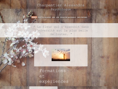 ac-psychologue.be snapshot