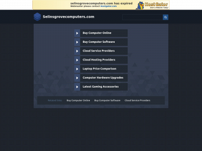 selinsgrovecomputers.com snapshot