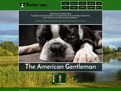 boston-terriers.dk snapshot