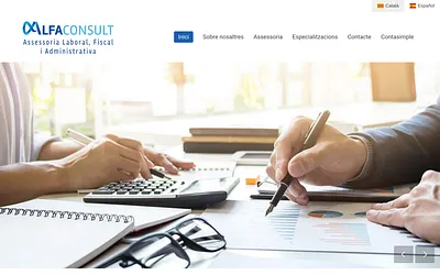 alfaconsult.es snapshot