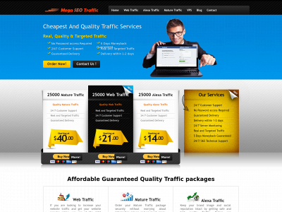 megaseotraffic.com snapshot