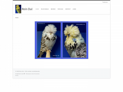 reindul.nl snapshot