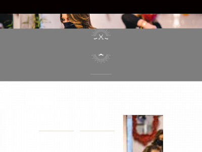theredmirrorsalon.com snapshot