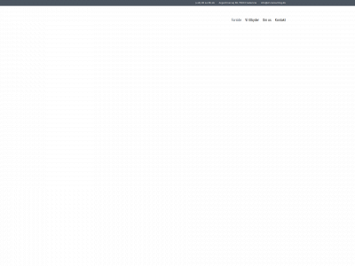sf-consulting.dk snapshot