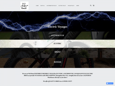 electricvoyages.com snapshot