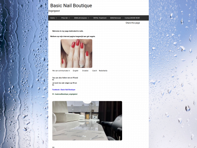 basicnailboutique.com snapshot