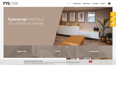 fys2000.dk snapshot