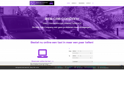 webcabcompany.com snapshot