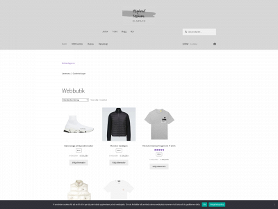 elspace.one snapshot