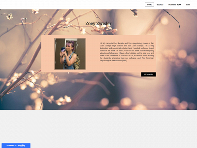 itszoeyzwisler.weebly.com snapshot