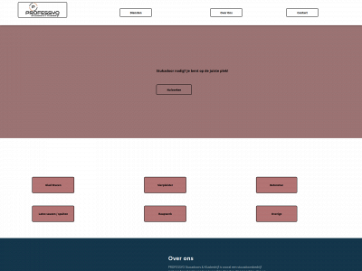 professyo.nl snapshot