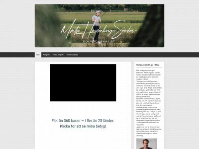 martinhardenberger.com snapshot