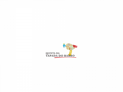 tapadadobarro.com snapshot